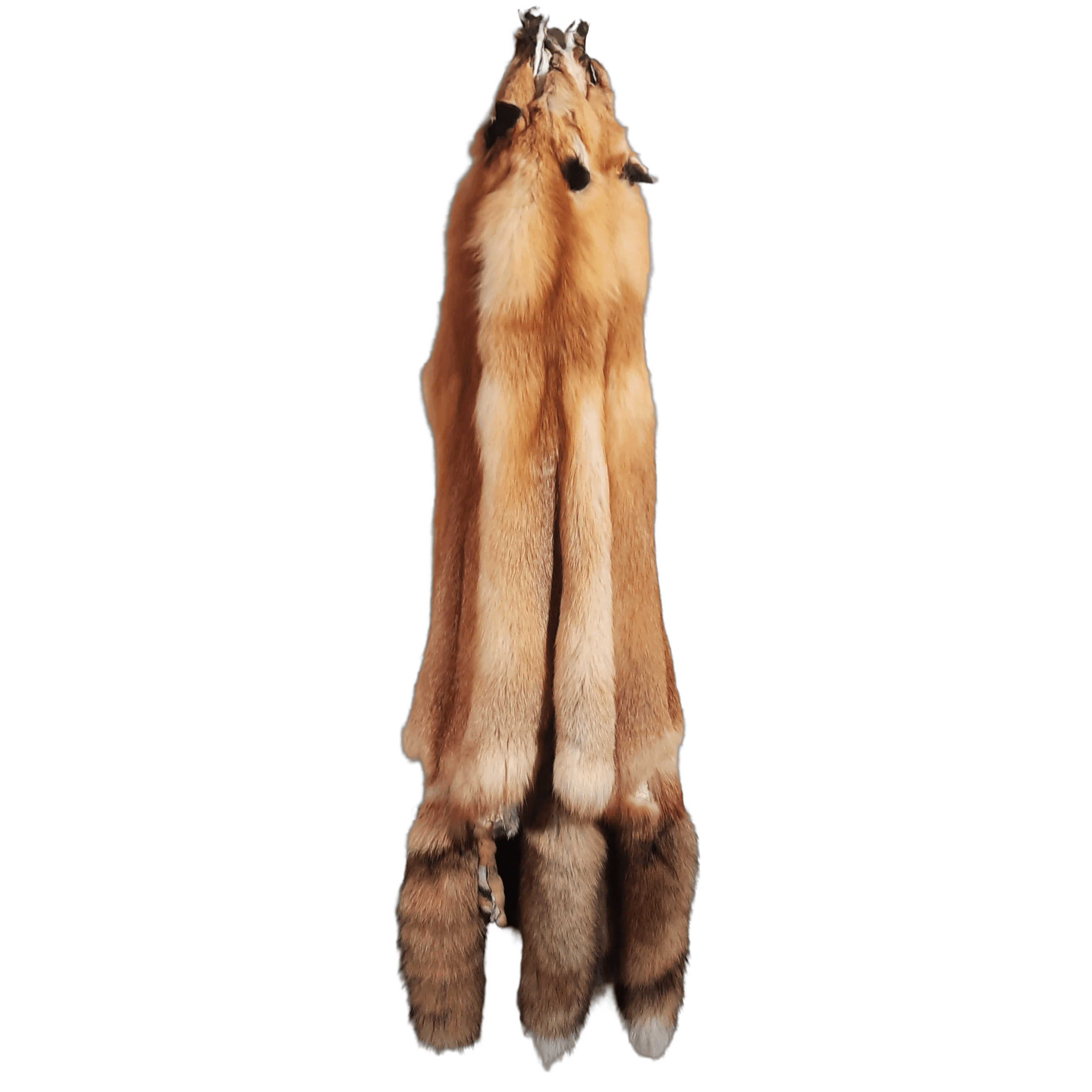 Professionally Tanned Medium Grade Red Fox Real Fur Pelt - 42+ Inches