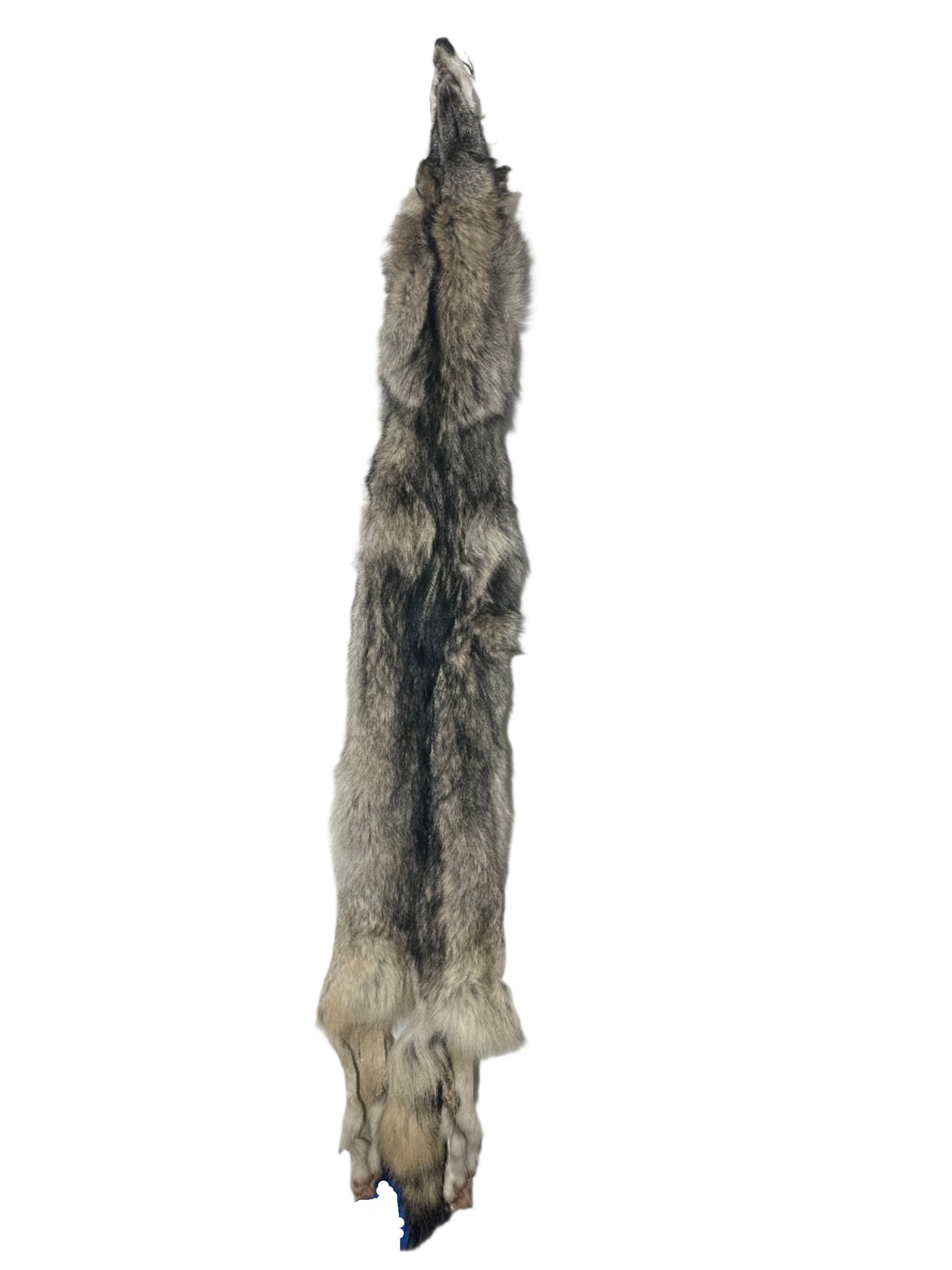 Tanned Timber Wolf No. 9 - 73" Long