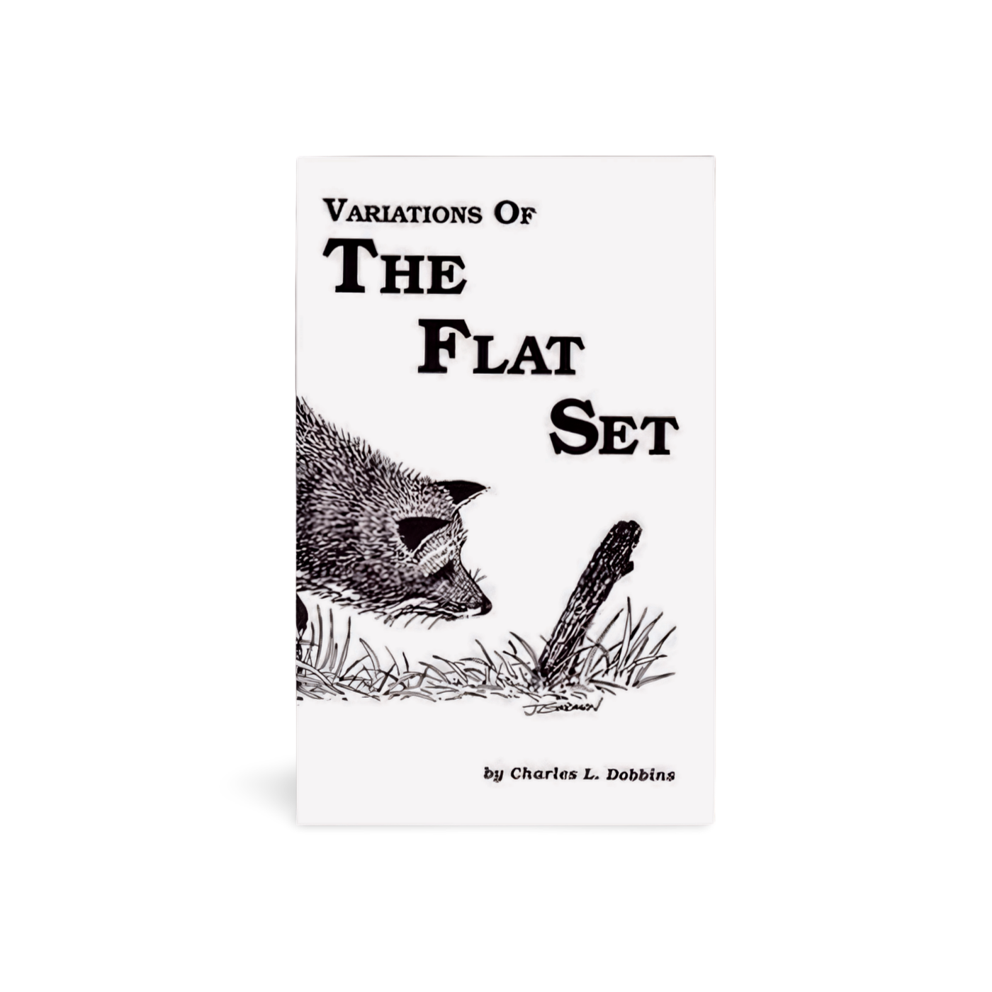 Variations of the Flat Set - Charles Dobbins - Book