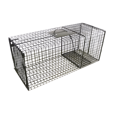 Bobcat Cage Trap