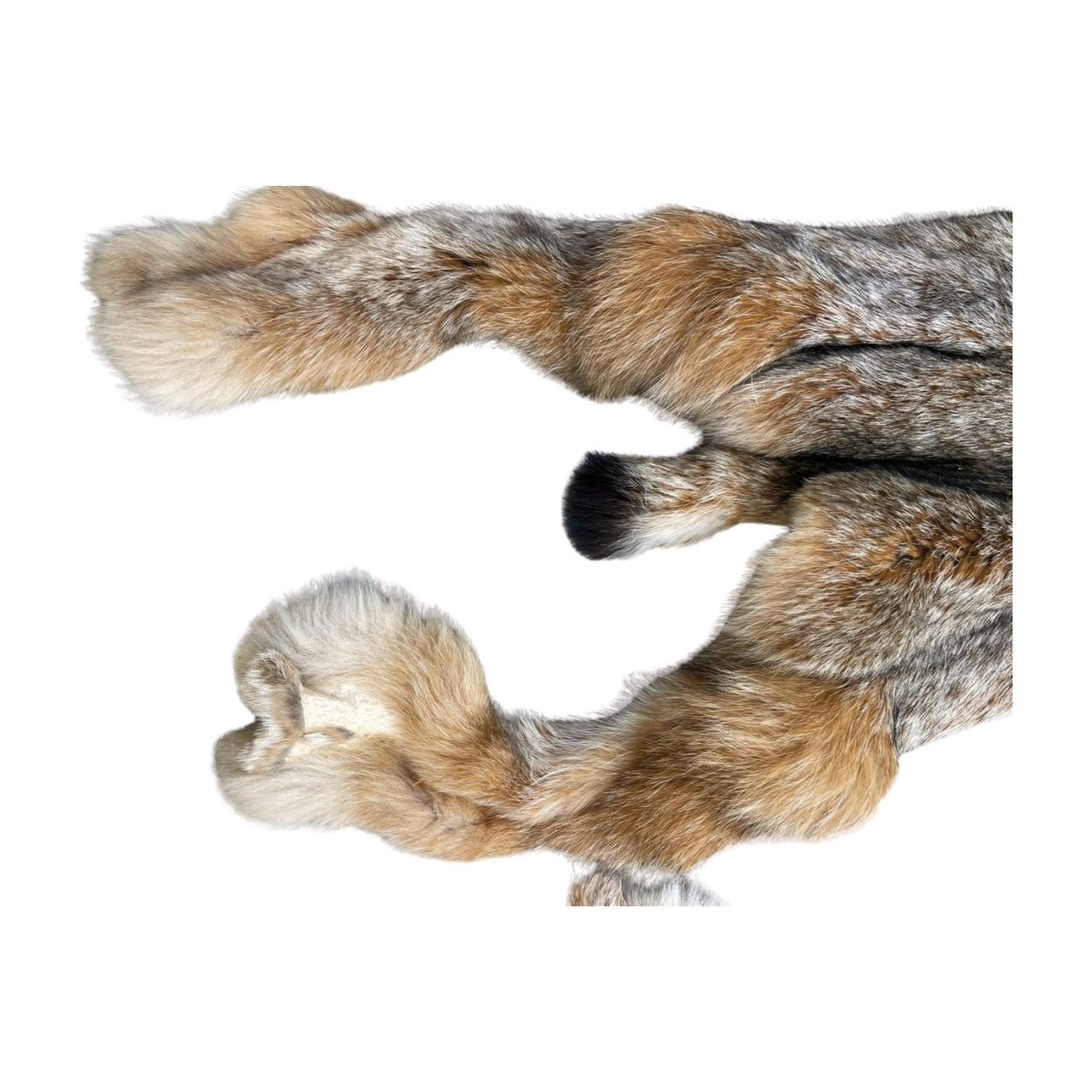 Tanned Lynx Pelt