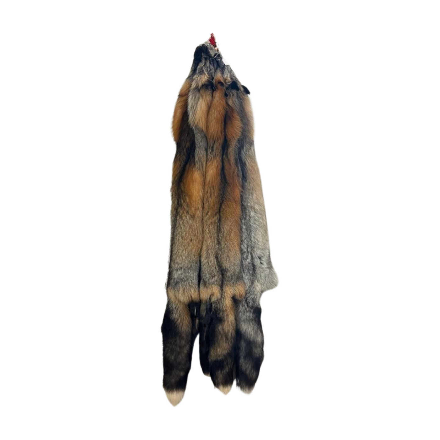 Tanned Cross Fox Pelt