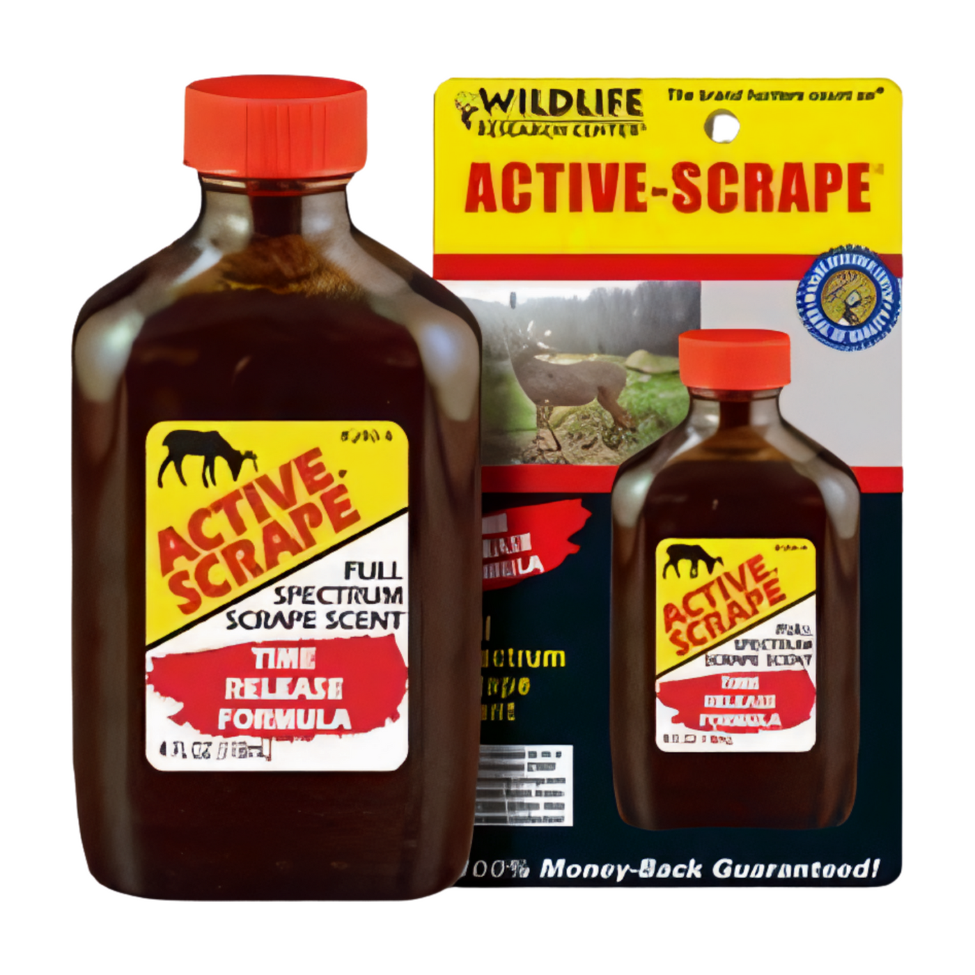 Active Scrape - Wildlife Research