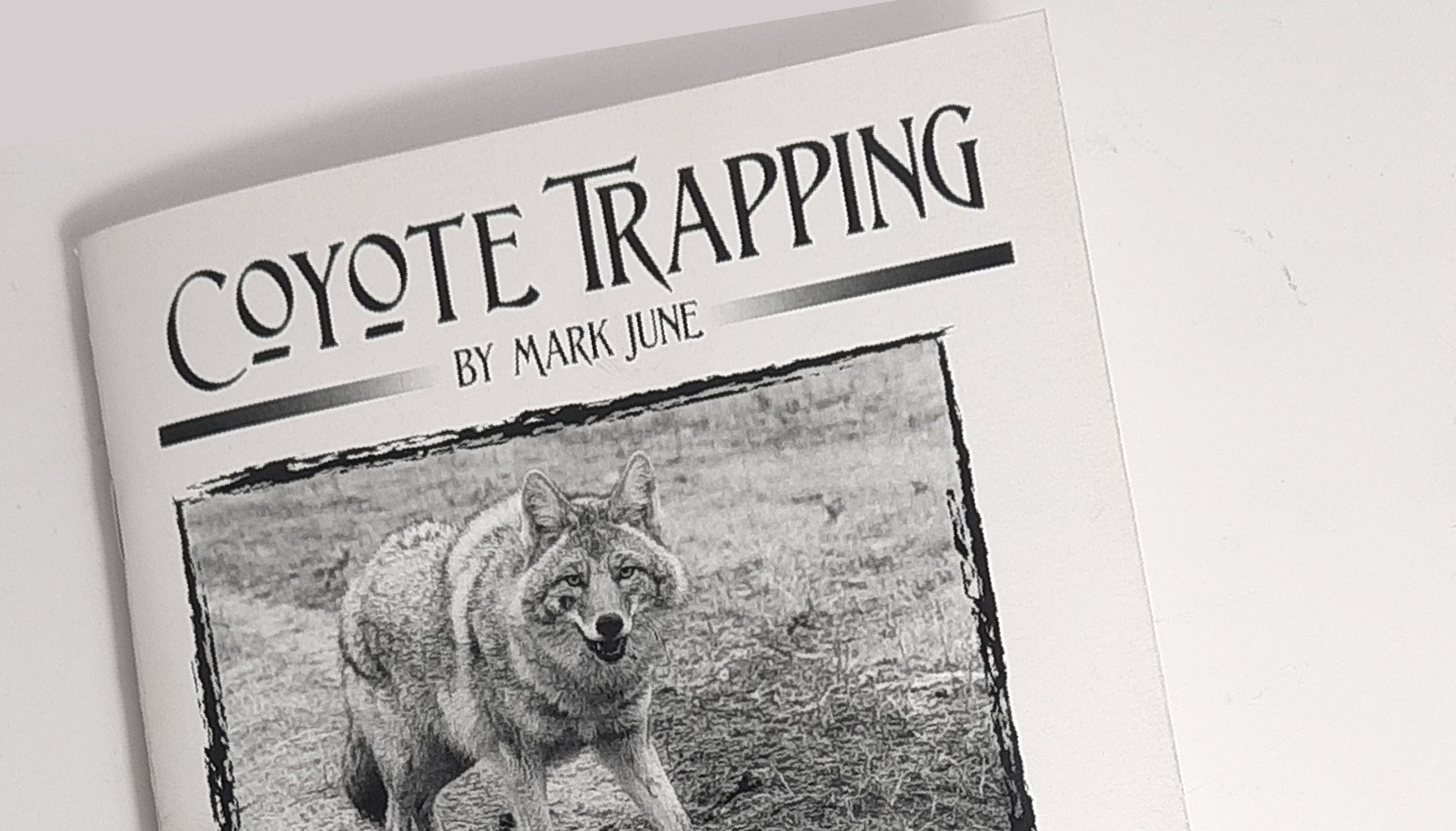 coyote_trapping_1 - IronTrail Trapline Supply, LLC