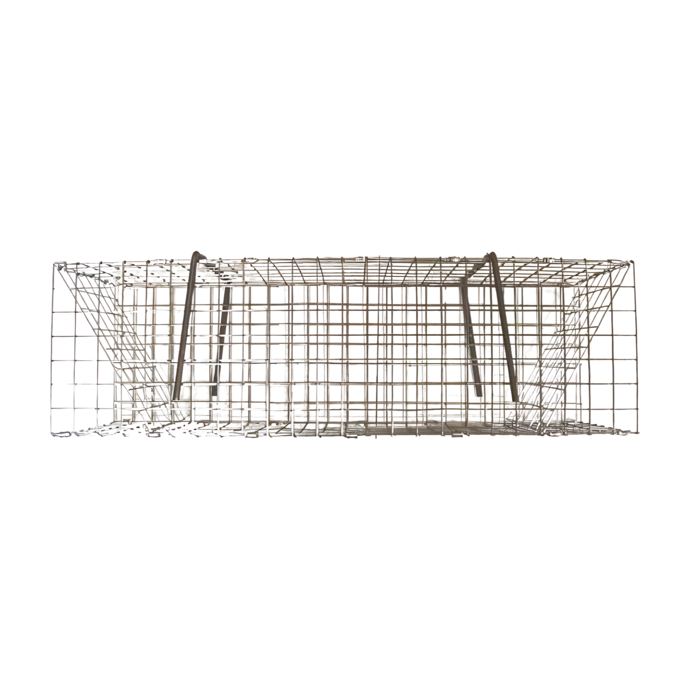 Folding Colony Muskrat Trap - 7x7x24