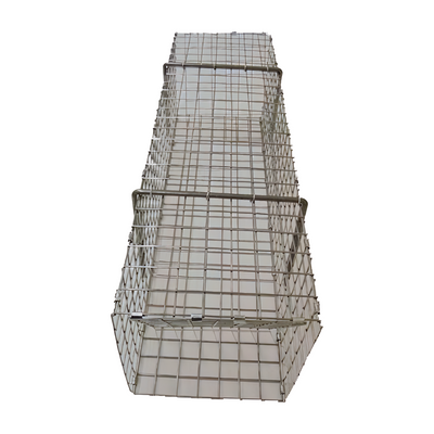 Folding Colony Muskrat Trap - 6x6x24