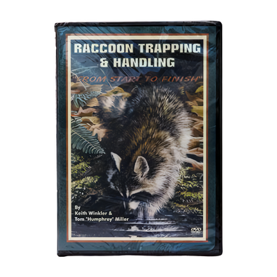 Raccoon Trapping & Handling From Start to Finish - Winkler -