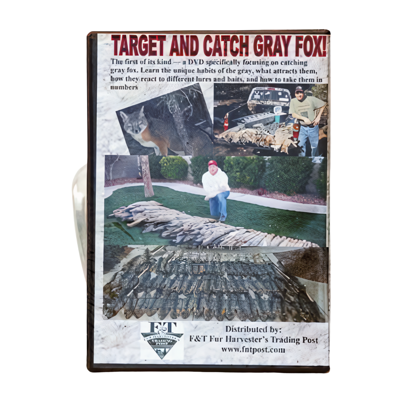 Modern Grey Fox Trapping - Tracy Truman - DVD