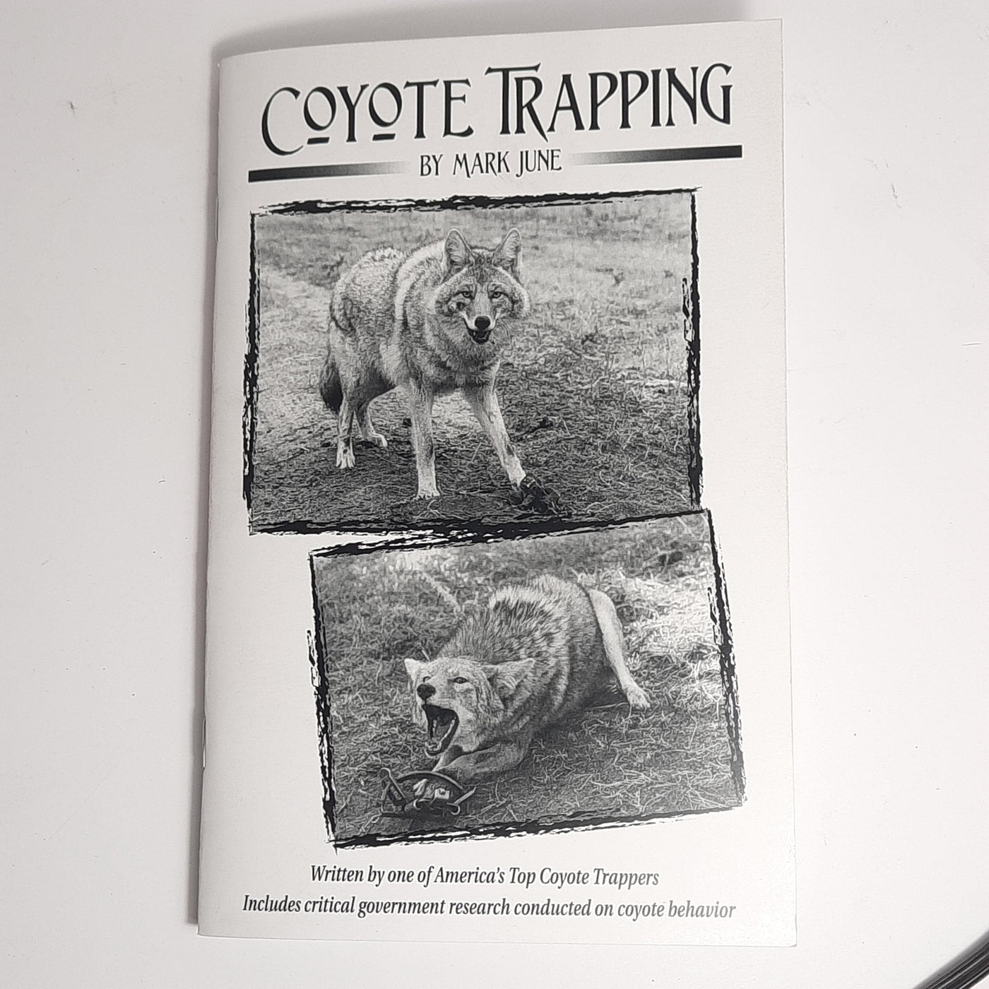 Mark June Coyote Trapping